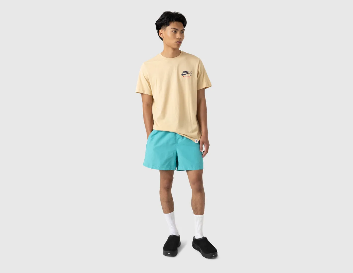 Nike ACG Reservoir Goat Shorts Dusty Cactus / Summit White