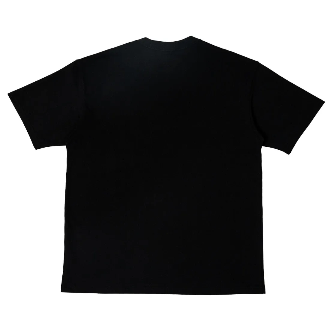 Nike Men Acg Hike Box Tee (black)