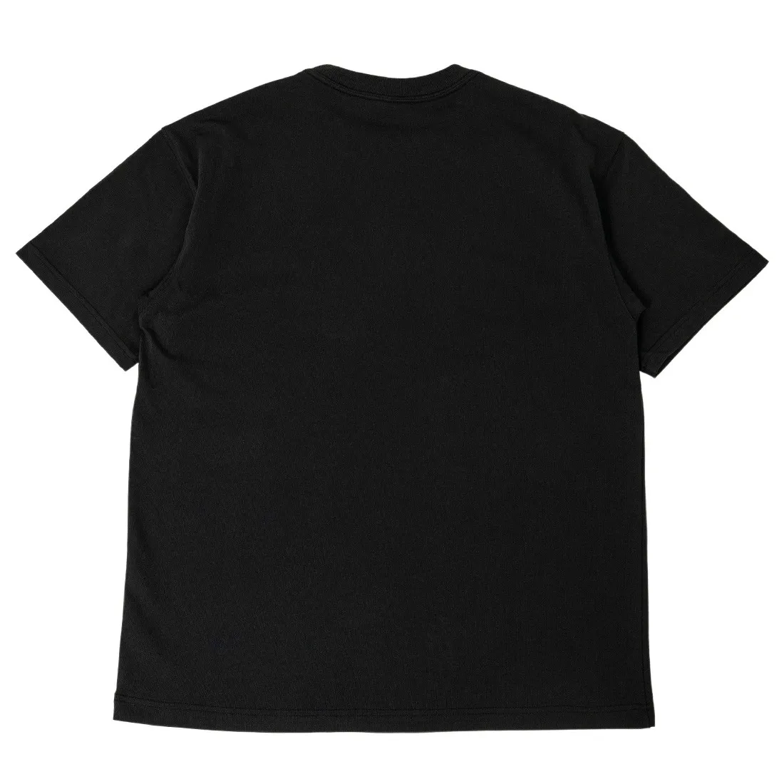 Nike Men Acg Tee (black)